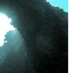 theraisingweb