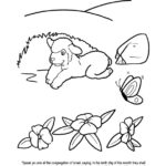 passover_lamb_colorpg-copy