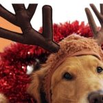 outofcontrol (1100 x 300 px)